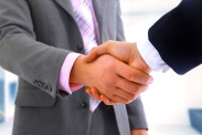 professional services handshake