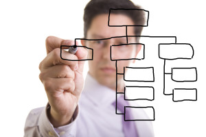 Organization chart @ hjalmeida